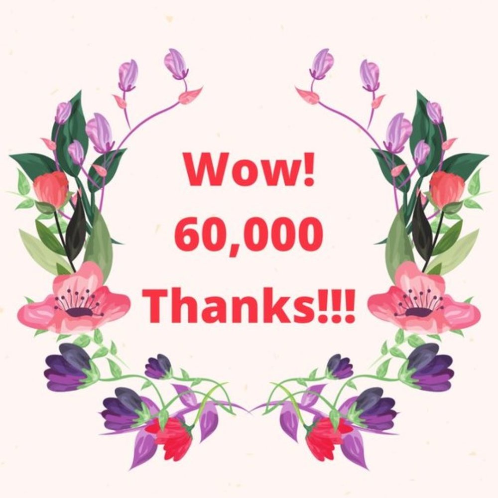 Thank You So Much! Over 60,000 Followers Now! 1/12/23